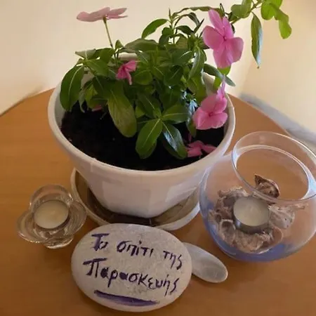 το σπίτι της παρασκευής Apartment